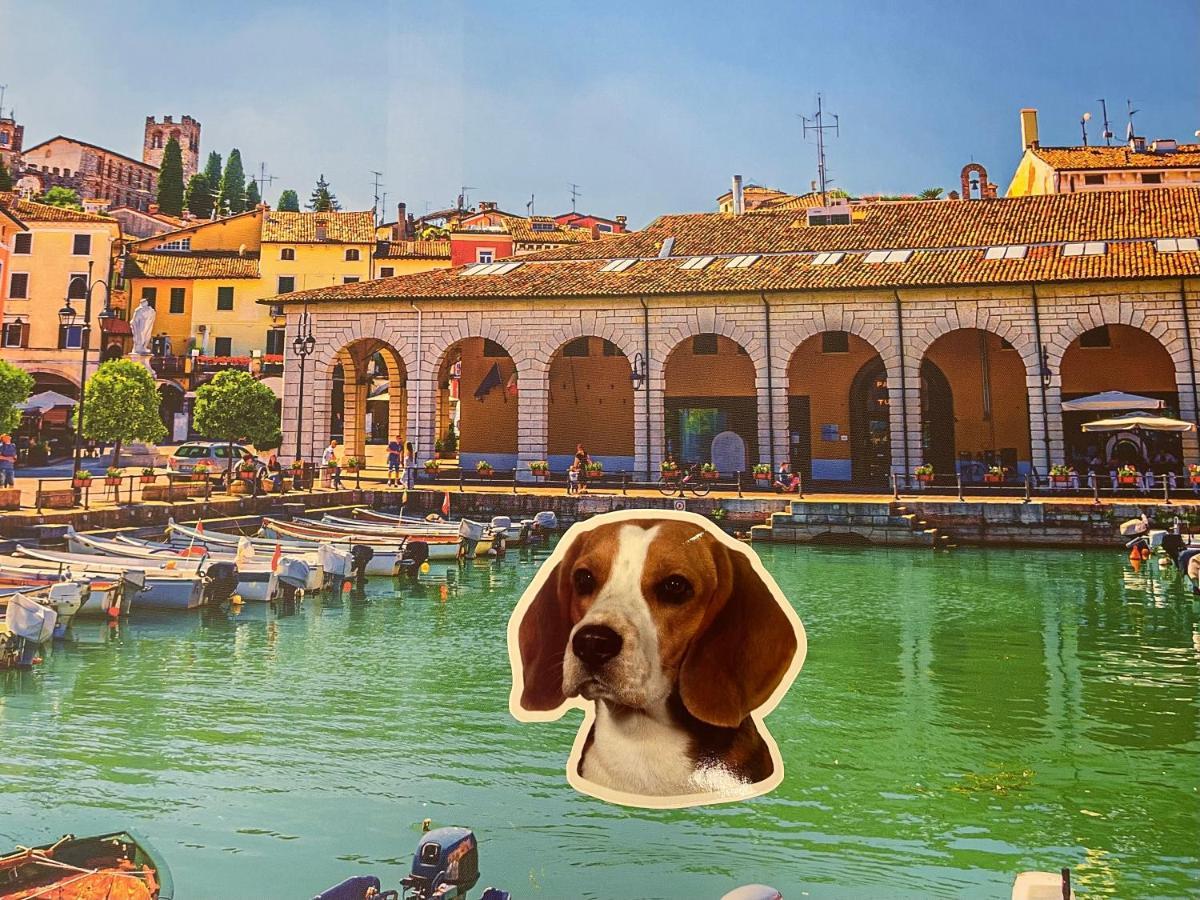 Desenzanoloft La Mia Favorita Daire Desenzano del Garda Dış mekan fotoğraf